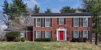412 Spring Valley  Court, Chesterfield