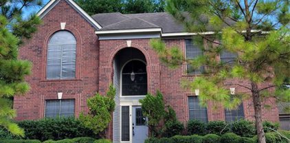15414 Evergreen Knoll Lane, Cypress