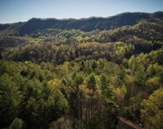 Bryson City image
