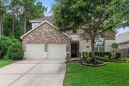 26107 White Sage Cove Lane, Spring image