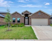 9105 Fescue  Drive, Fort Worth image