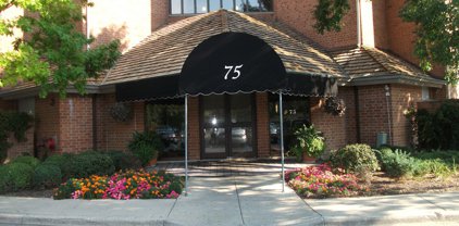75 Kristin Circle Unit #113, Schaumburg