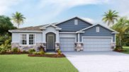 32219 Conchshell Sail Street, Wesley Chapel image