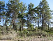 1838 Lighthouse Rd, Carrabelle image