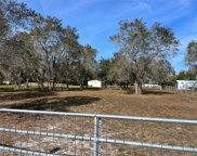 Shaw Lake Road, Pierson image