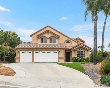 2506 Lynn Way, Vista
