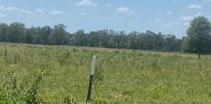 County Road 117, Bedias