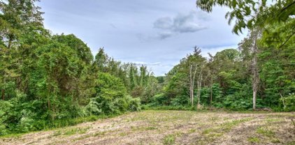 Willow Ave, Peapack Gladstone Boro