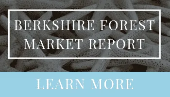 Berkshire Forest Market Report | Ashley DeLong, Realtor