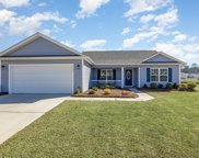 1317 Red Head Ct., Conway image