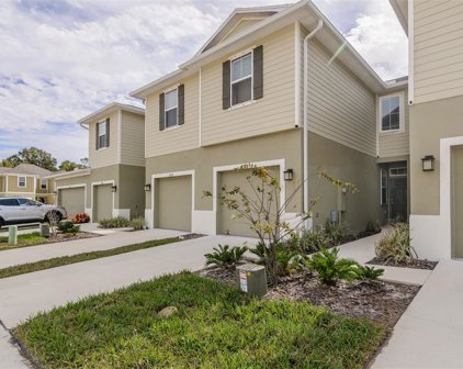 3088 Inlet Breeze Way, Holiday