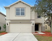 7444 Dragon Fly Loop, Gibsonton image