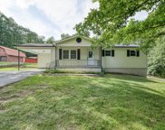 2760 E Hanging Limb Rd, Monterey image