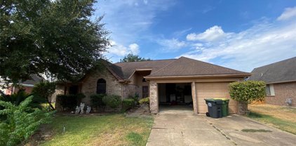 1138 Saint John Drive, Pearland