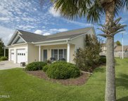101 Palmetto Place Circle, Beaufort image