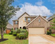 10703 Davlee Lane, Richmond image