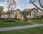 11227 Macaw Court, Windermere image