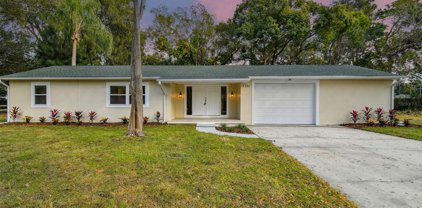 1731 Dorchester Road, Clearwater