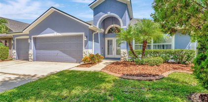5807 Heronview Crescent Drive, Lithia