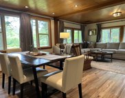 9774 Cook Trail, Grayling image