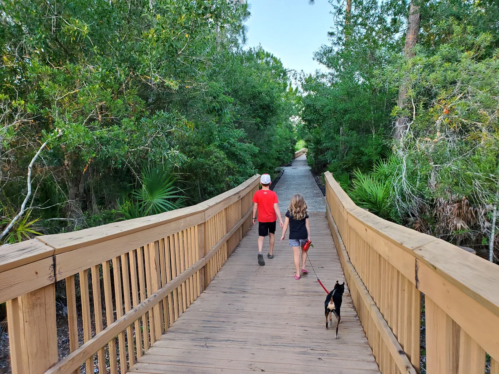 Sterling Oaks boardwalk into the nature preserve filter marsh in Naples Florida