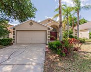 16426 Coopers Hawk Avenue, Clermont image