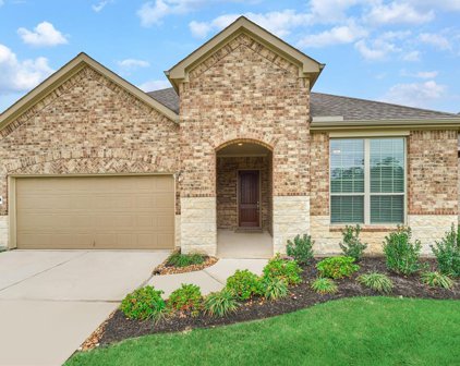 244 Spotted Saddle Court, The Woodlands