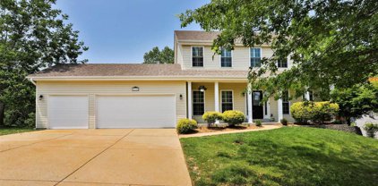 2335 Downey Terrace  Drive, Ellisville