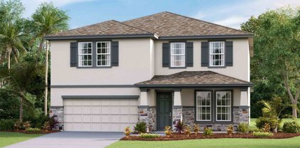 12550 Shining Willow Street, Riverview