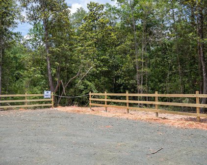 Tract 2 Timberland Branch Drive, Woodville