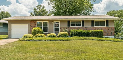 10750 Corning  Drive, St Louis