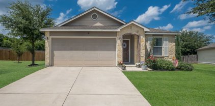 16318 Rosebud Vista, Selma