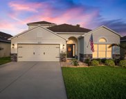 307 Taxter Run Lane, Valrico image