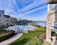 18845 Vineyard Point  Lane, Cornelius image