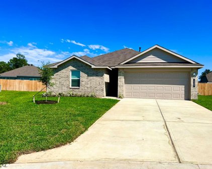 14207 Yellow Jacket Court, Willis