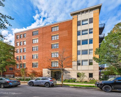 2300 W Saint Paul Avenue Unit #202, Chicago