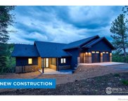 110 Foxtail Circle, Black Hawk image