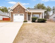 9 Red Winds Court, Blythewood image