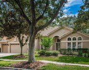 17801 Hickory Moss Place, Tampa image