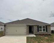 295 Andrew Lane, Odenville image