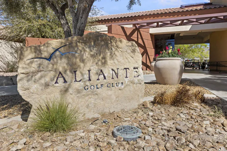 Sun City Aliante, North Las Vegas Real Estate 8