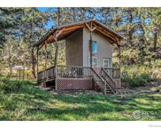 160 Bobcat Drive, Drake image
