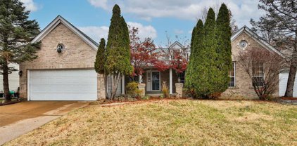 9851 Tiffany Square  Parkway, St Louis