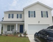 252 Country Grove Way, Galivants Ferry image