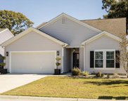 1365 Paint Horse Court, Mount Pleasant image