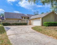 4767 Blueberry Hill Drive, Houston image