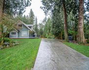 3851 201 Street, Langley image