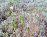 620 Elk Mountain Scenic  Highway, Asheville image
