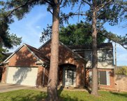 10022 Pale Star Drive, Houston image