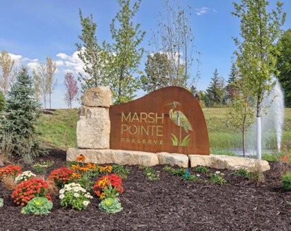 1582 Marsh Pointe Court, Medina